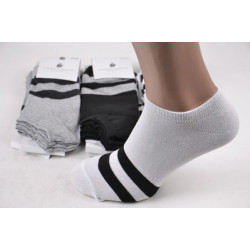 Шкарпетки чоловічі Бавовняні Занижені
