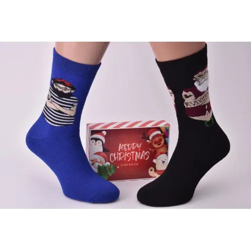 Шкарпетки чоловічі 