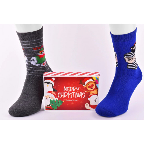 Носки мужские 