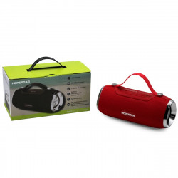 Колонка HOPESTAR H25