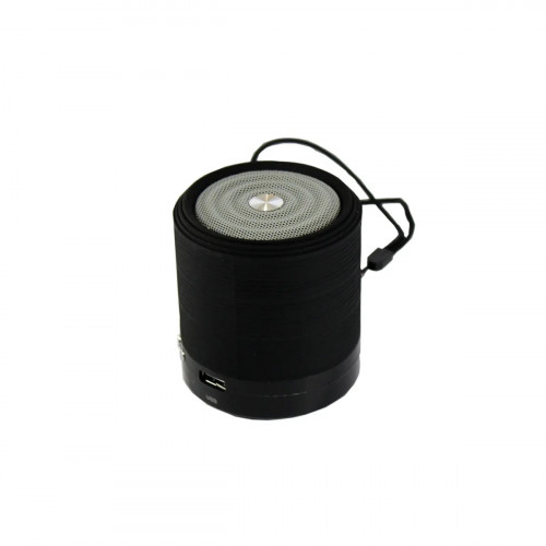 Колонка WSTER 631+BT