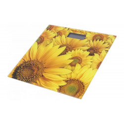 Ваги для підлоги SATURN ST-PS0243