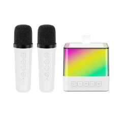 Мини-детское караокес подсветкой RGB K18 ( 2 микрофона )
