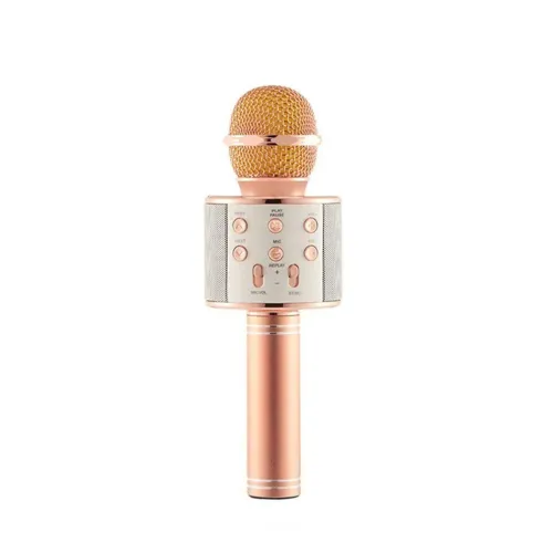 Мікрофон WS-858 WSTER ROSE GOLD