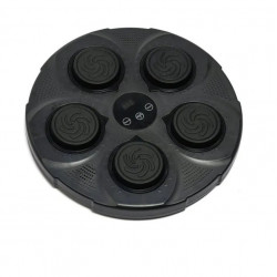 Музыкальный боксерский тренажер