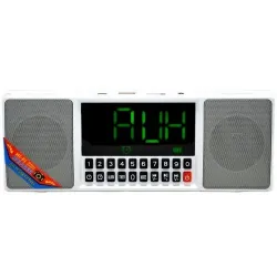 Колонка WSTER WS-1515BT