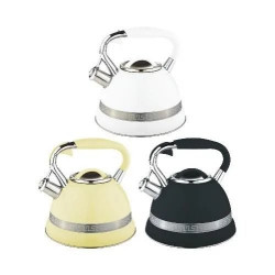 Чайник EDENBERG EB-1941 3.00 л