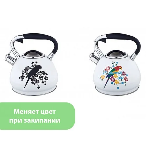 Чайник EDENBERG EB-1945 3.00 л