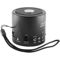 Колонка WSTER WS-Q9BT