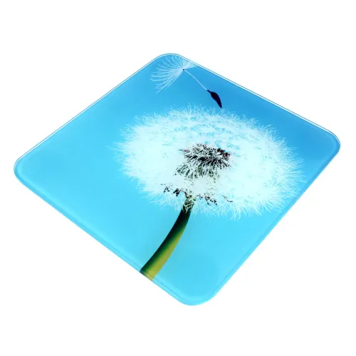 Ваги для підлоги DOMOTEC MS-2019 180кг