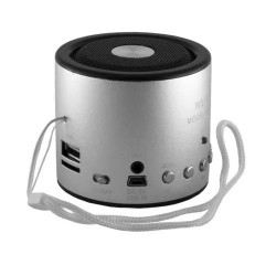 Колонка WSTER WS-A8