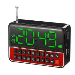 Колонка WSTER WS-1513Clock