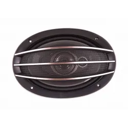 Автоколонки TS 6974 (160x240мм, овальні, 1200Вт)