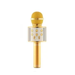 Мікрофон WS-858 WSTER GOLD