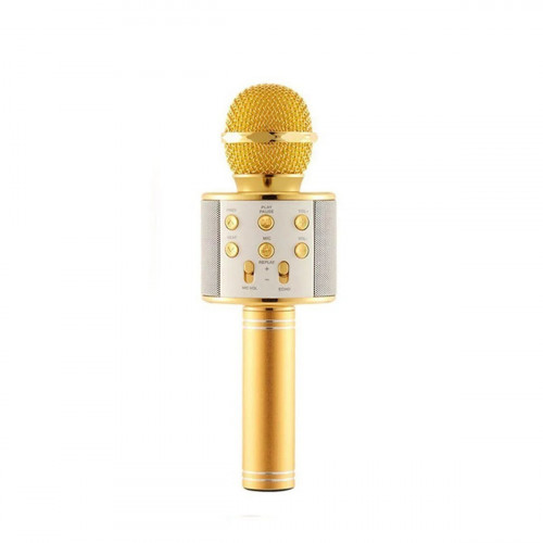 Мікрофон WS-858 WSTER GOLD