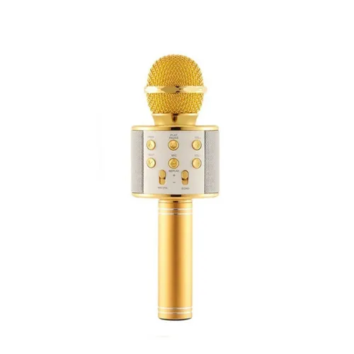 Мікрофон WS-858 WSTER GOLD
