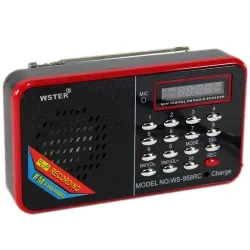 Колонка WSTER WS-958