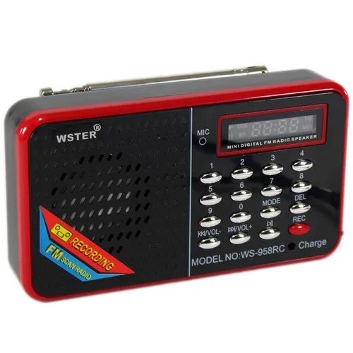 Колонка WSTER WS-958