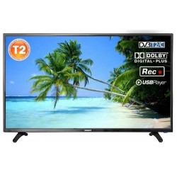 Телевизор 48 Romsat 48FMG4860T2