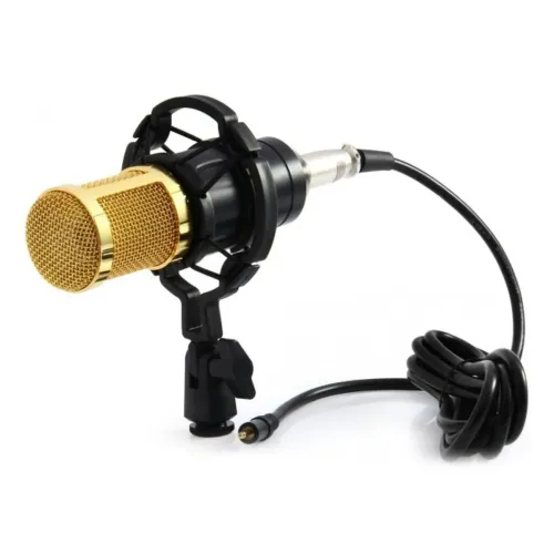 Мікрофон студійний M-800
