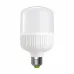 Лампа LED EUROLAMP 30W E27 6500K 2800Lm LED-HP-30276(P) (світлодіодна високопотужна)