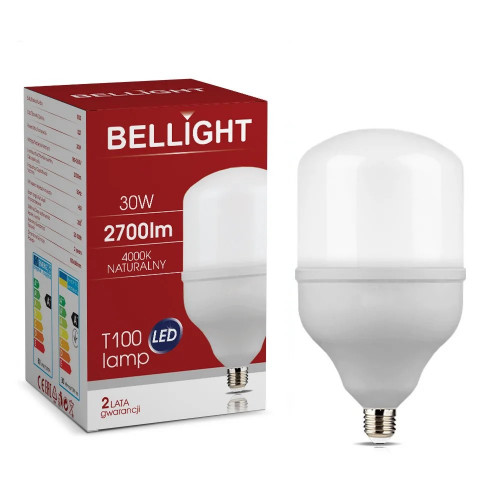 Лампа світлодіодна LED T100 220V/30W 4000K