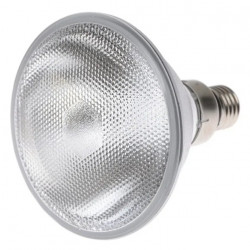 Лампа LED EUROLAMP G95 15W E27 3000K 220V LED-G95-15272(P) (