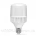 LED лампа VIDEX A80 30W E27 5000K