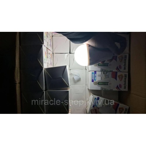 Аварійна лампочка 20 Вт E27 знімними 2 акумуляторами Лампи акумуляторні з цоколем