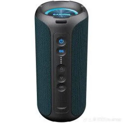 WL-668 Музыкальная колонка