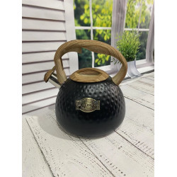 Чайник со свистком BN-728 нерж. сталь 2,8 л