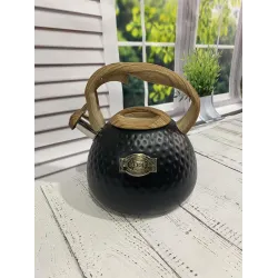 Чайник со свистком BN-728 нерж. сталь 2,8 л