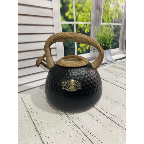 Чайник со свистком BN-728 нерж. сталь 2,8 л