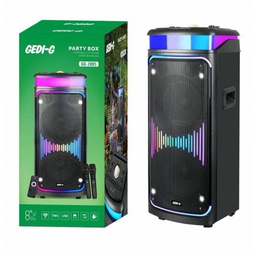 GeDi-G 2895 2*8″ два микрофона 60Вт