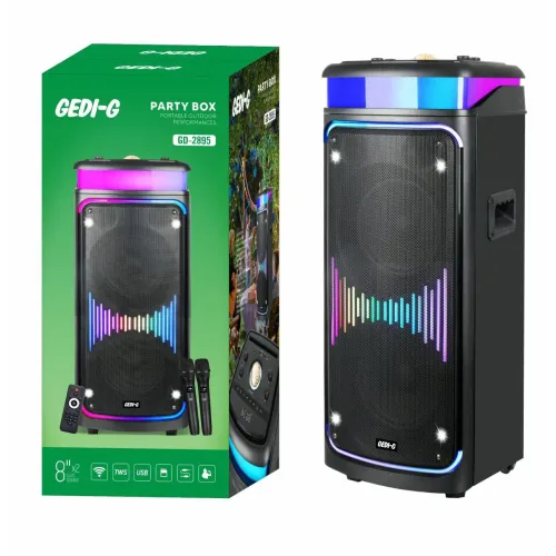 GeDi-G 2895 2*8″ два микрофона 60Вт