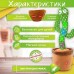 Танцующий кактус поющий 120 песен с подсветкой Dancing Cactus TikTok игрушка Повторюшка кактус - фото 43