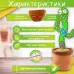 Танцующий кактус поющий 120 песен с подсветкой Dancing Cactus TikTok игрушка Повторюшка кактус