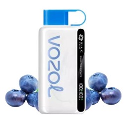 Vozol 12000. Черника (Blueberry Storm)