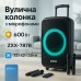 Акустическая переносная колонка ZXX-7878/ 8161 600 Вт 15