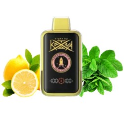 Katana 20000. Лимон Мята (Lemon Mint)