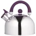Чайник Unique со свистком UN-5302 2.5 л, красивый чайник для газовой плиты. Цвет: фиолетовый - фото 11