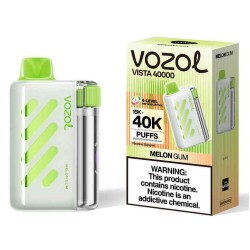 Vozol Vista 40000. Диня Жуйка (Melon Gum)